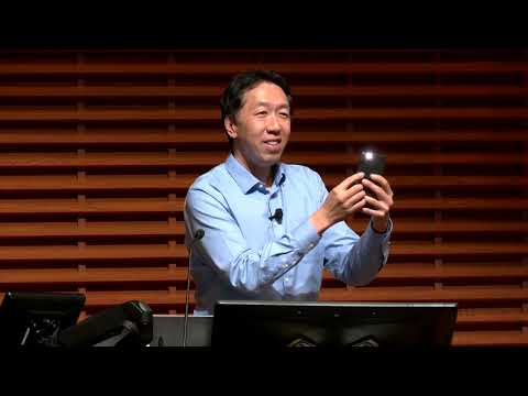 AI strategy for organizations